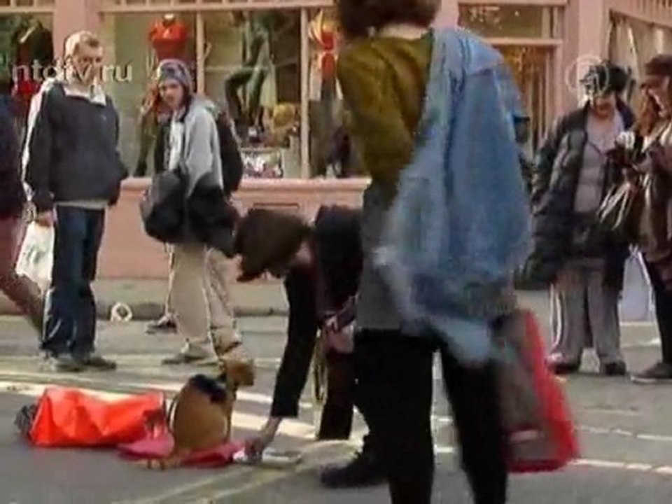 История одного рыжего кота произвела фурор