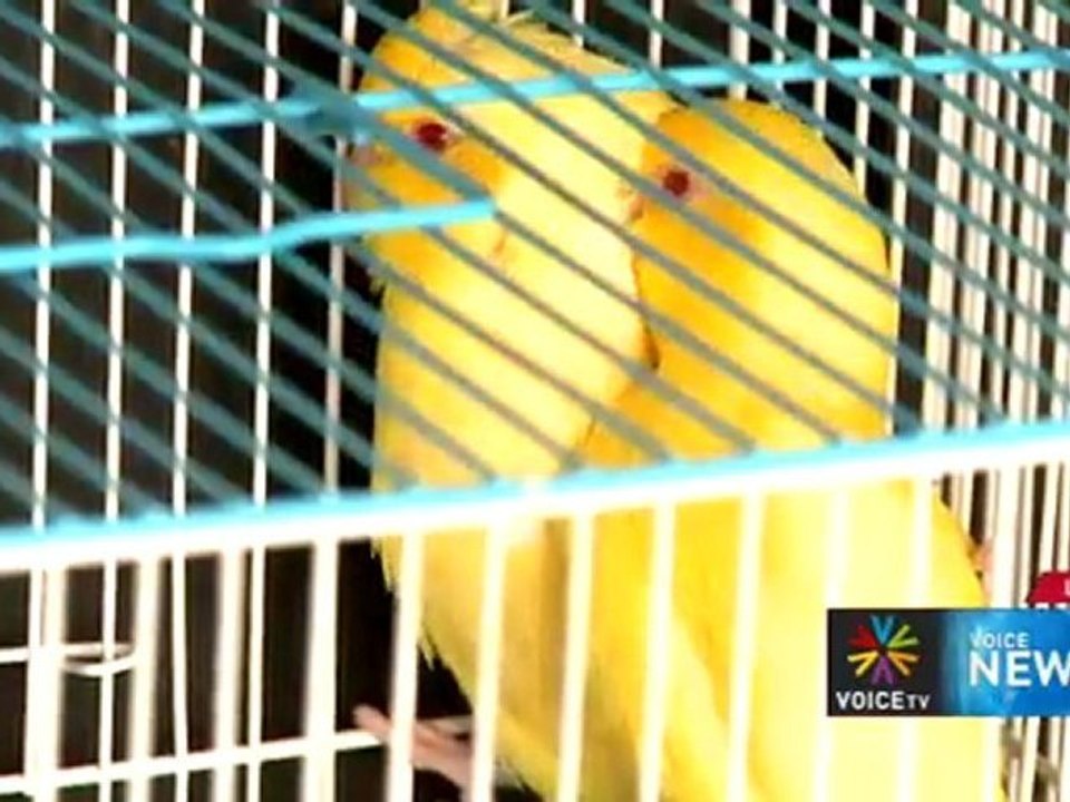 Voice News ประจำวันที่ 15 มีนาคม 2555 (22.00 น.-23.00 น.)