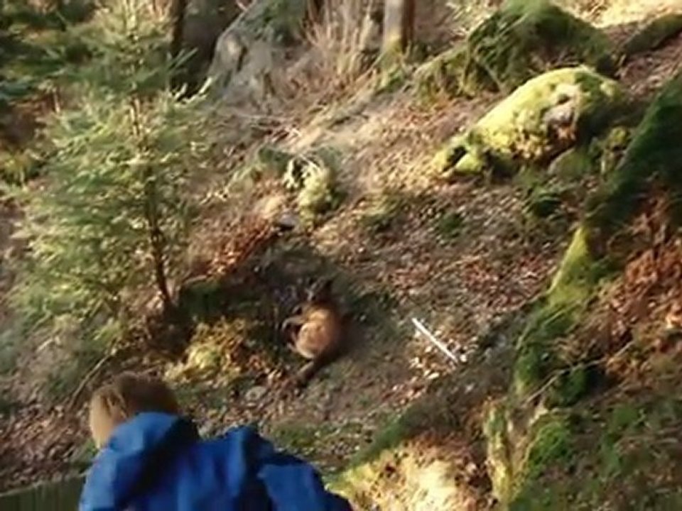 Geocaching in the black forest