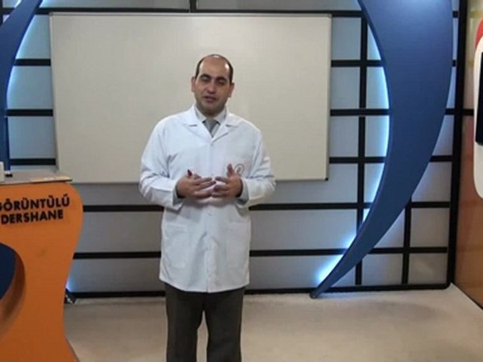 11-sinif-dil-edebiyat