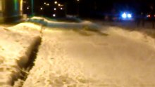jack russel