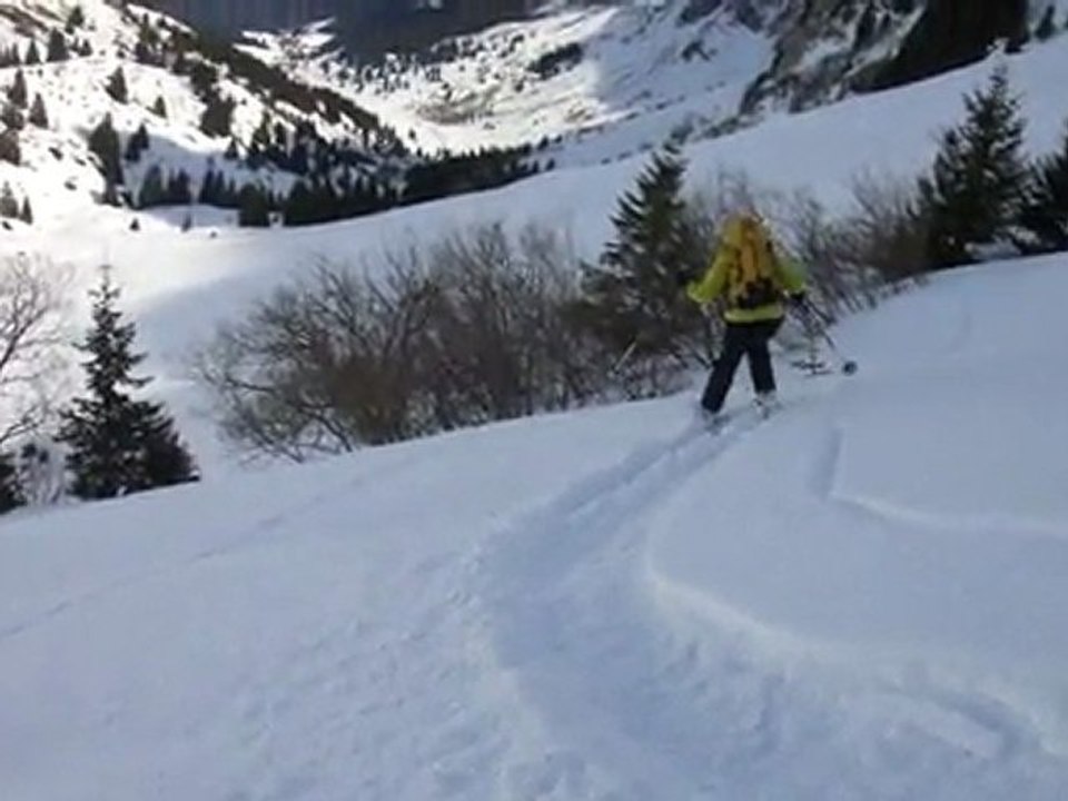 combe Sotty4
