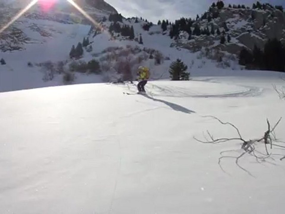 combe Sotty5