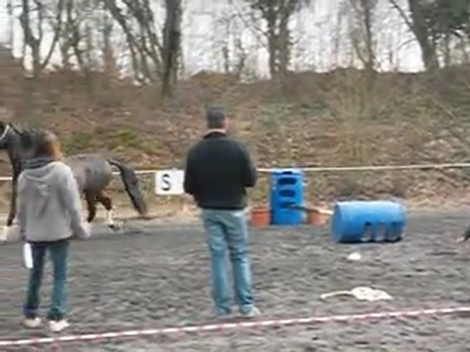 2012-03-11 Equifeel Julie essuie glace 1