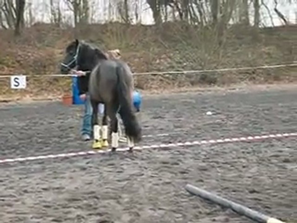 2012-03-11 Equifeel Julie essuie glace 2