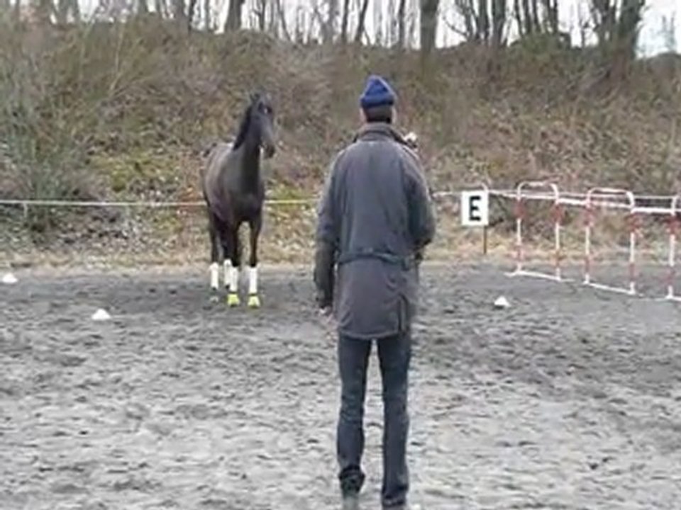 2012-03-11 Equifeel Julie licol