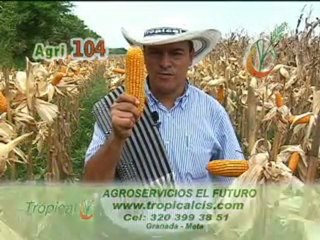 15 MARZO 2012 Inversiones Jacaranda web