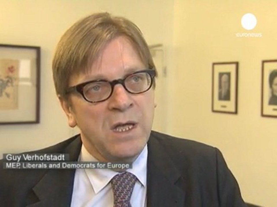 MEPs slam 'discriminatory' Dutch website