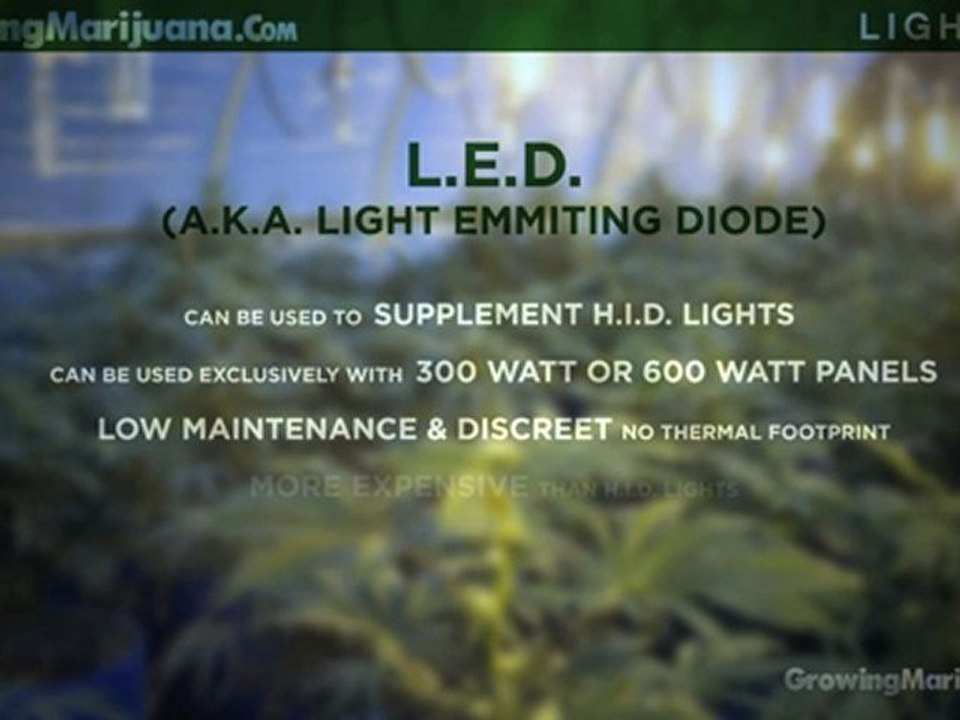 Light - Marijuana Lighting - Lights For Growing Marijuana - 10