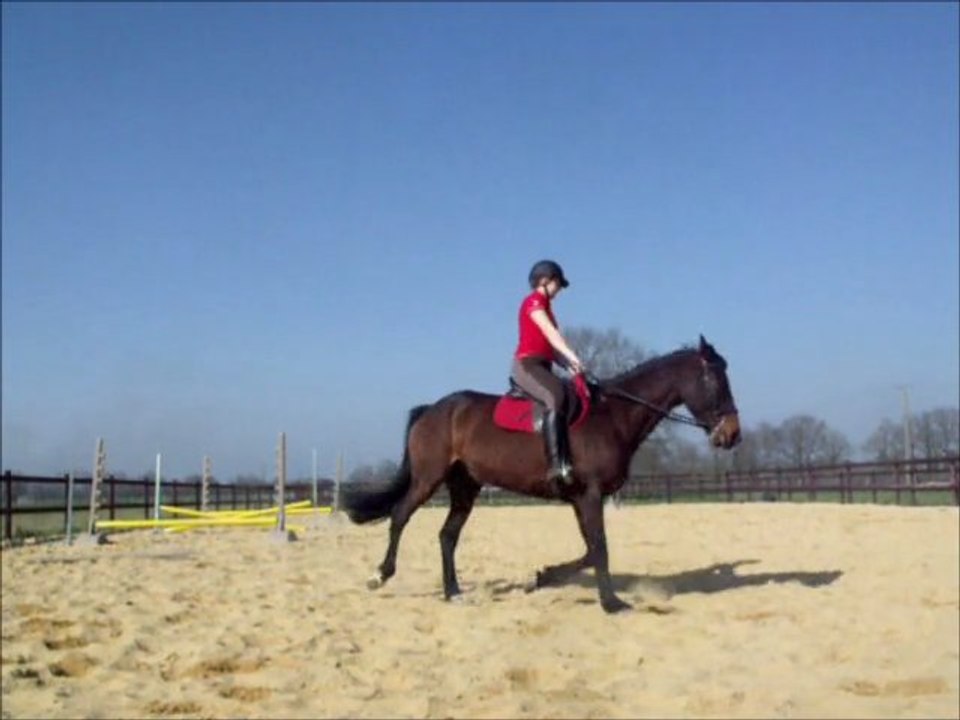 Séance de plat du 15 Mars 2012