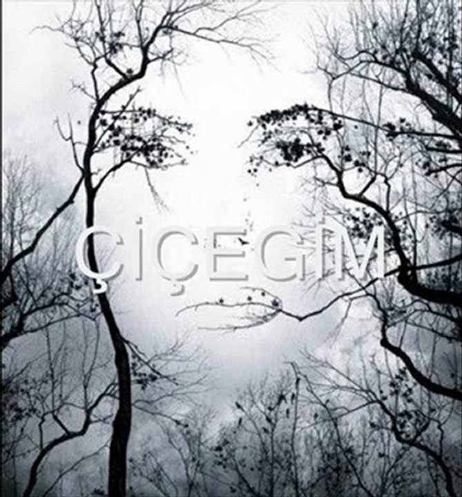 şiir çiçegim