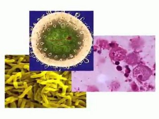GENERDORES ATMOSFERICOS DE AGUA POTABLE
