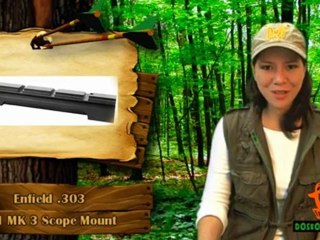 .303 Enfield Scope Mount Review