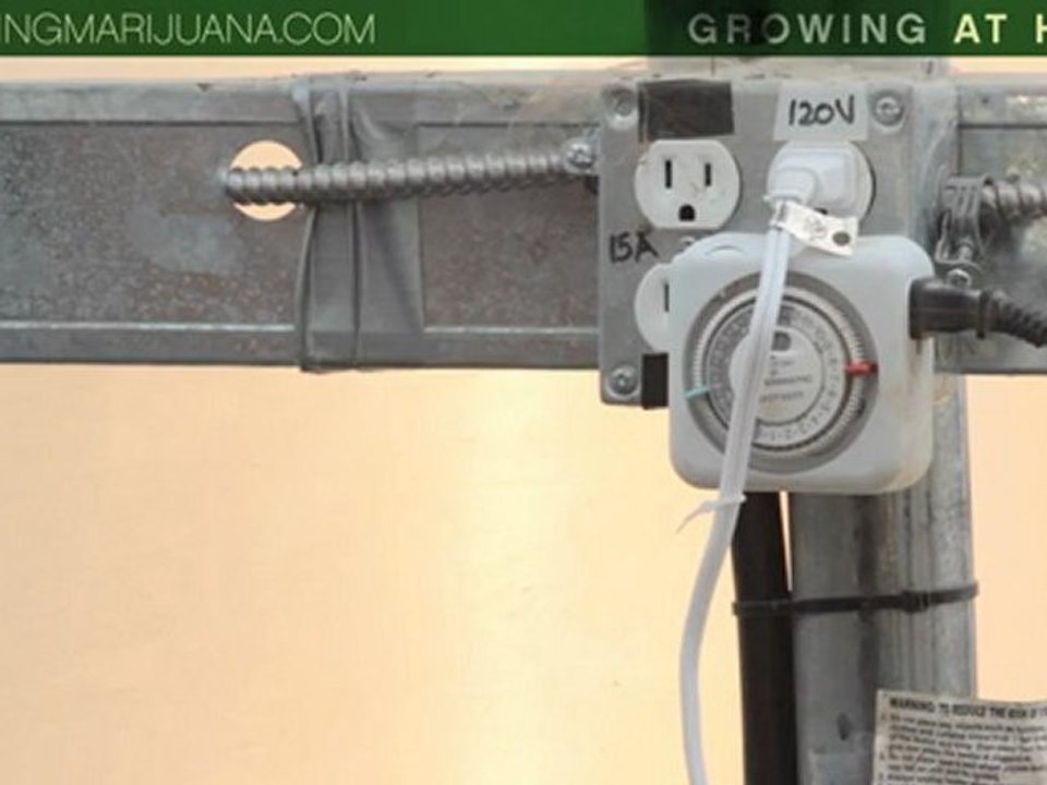 Growing at Home - Growing Marijuana At Home - Growing Weed Indoors -15