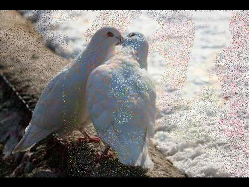 Para meu amorzinho (Paulo C. Baruk e Rebeca Nemer - Isso é amor)