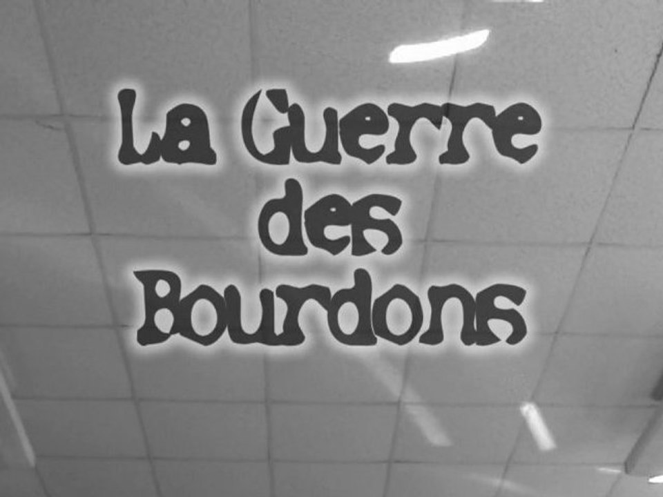 La guerre des bourdons
