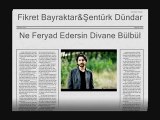 Ne Feryad Edersin Divane Bülbül