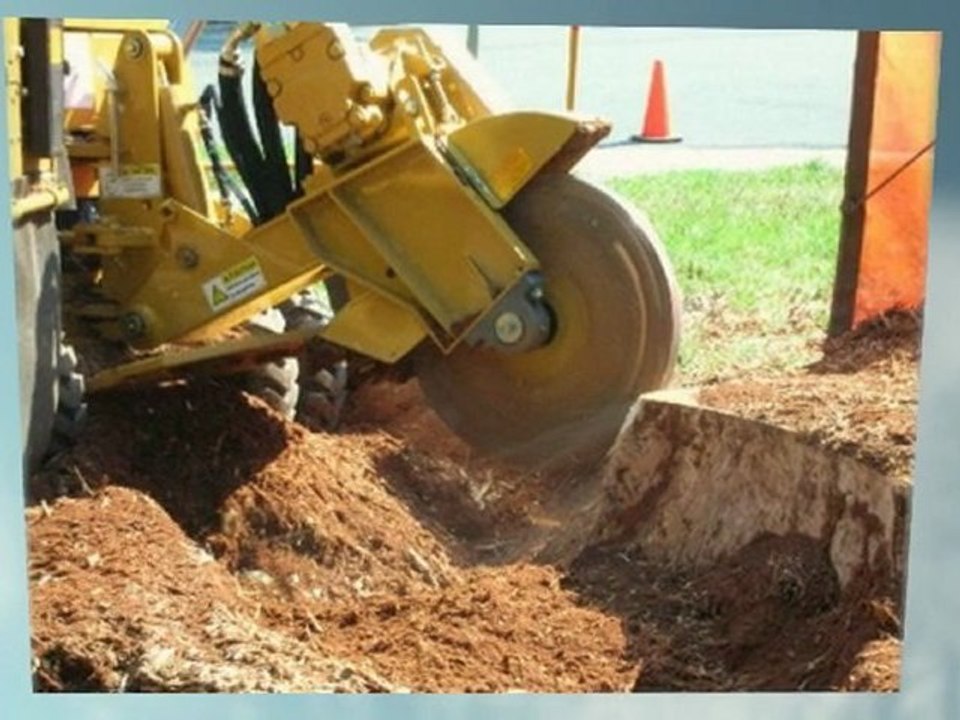Reliable Tree & Stump Removal (504) 628-3694