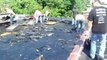 Bullfrog Builders Tar Shingle Roof Removal and Wood Repair - Day 1