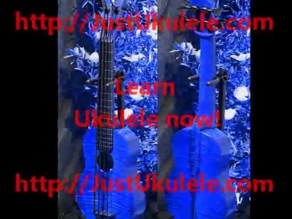 ukulele lessons auckland