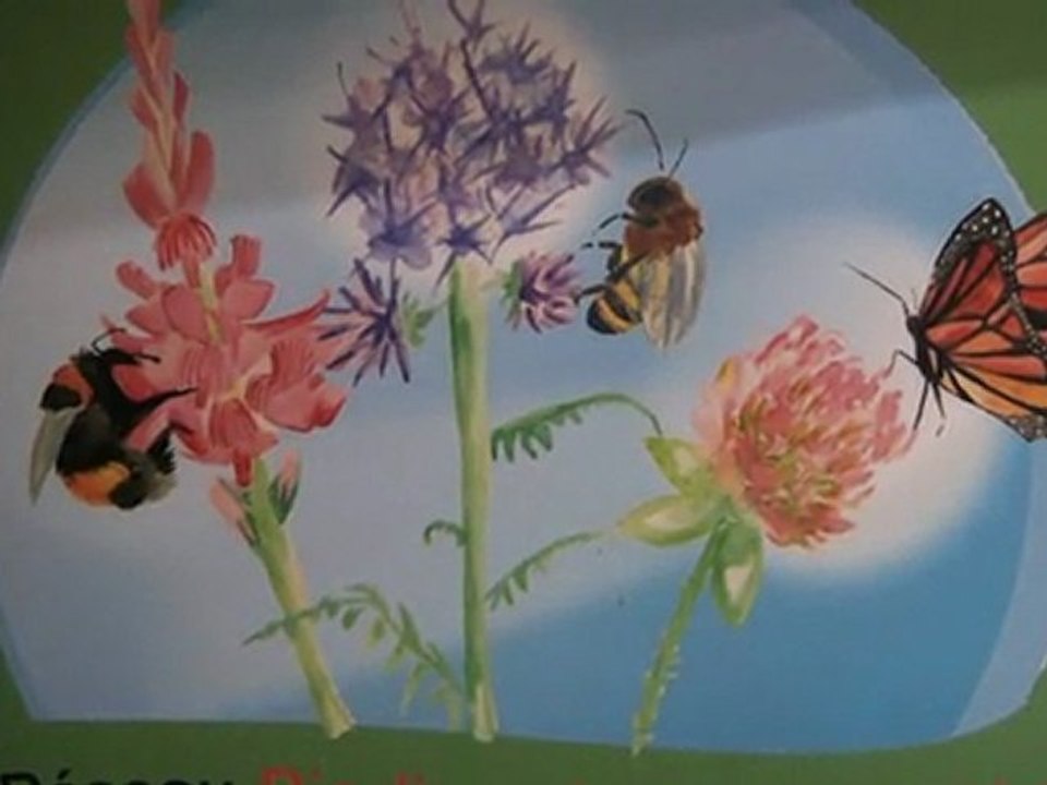 Rencontre avec Philippe Lecompte