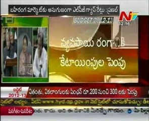 Pranab's Union Budget 2012-13 Part 08