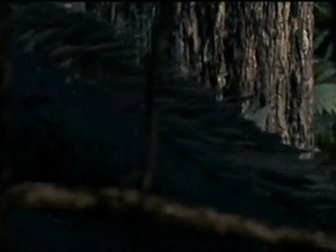 Vor 70 Millionen Jahren - March of the Dinosaurs_ Part 1