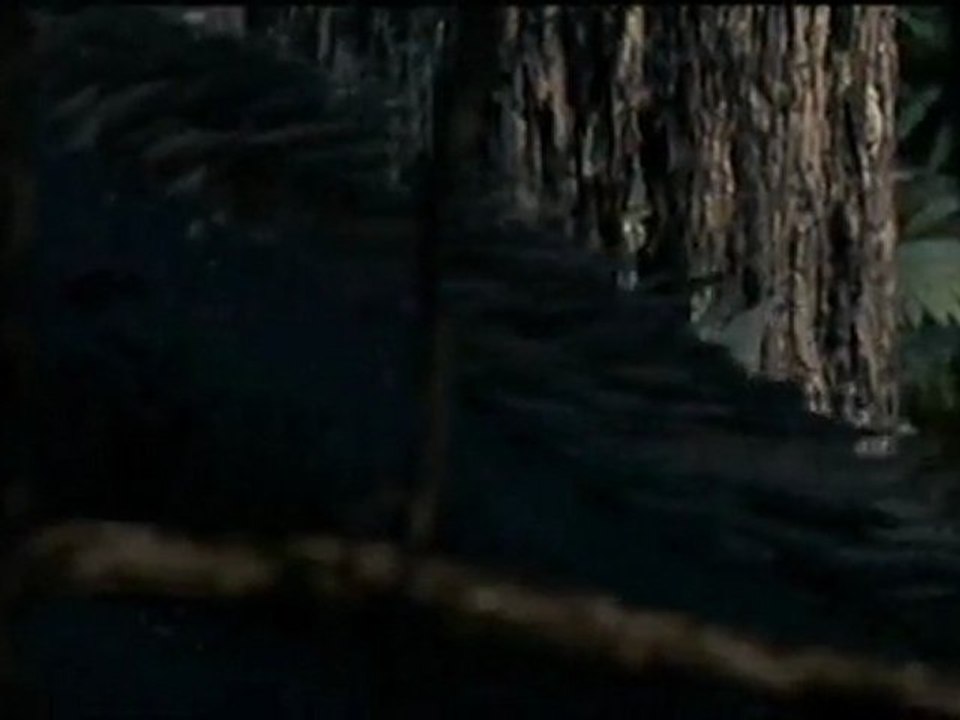 Vor 70 Millionen Jahren - March of the Dinosaurs_ Part 1