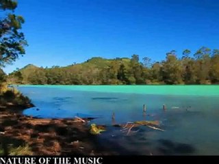 THE NATURE OF THE MUSIC - WAKE UP