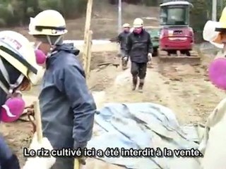 Au Japon, la décontamination est peut être envisageable!