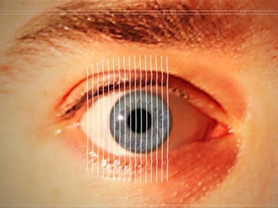 L'identification biométrique