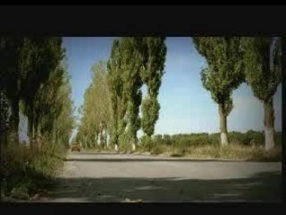 What Old People Do For Fun