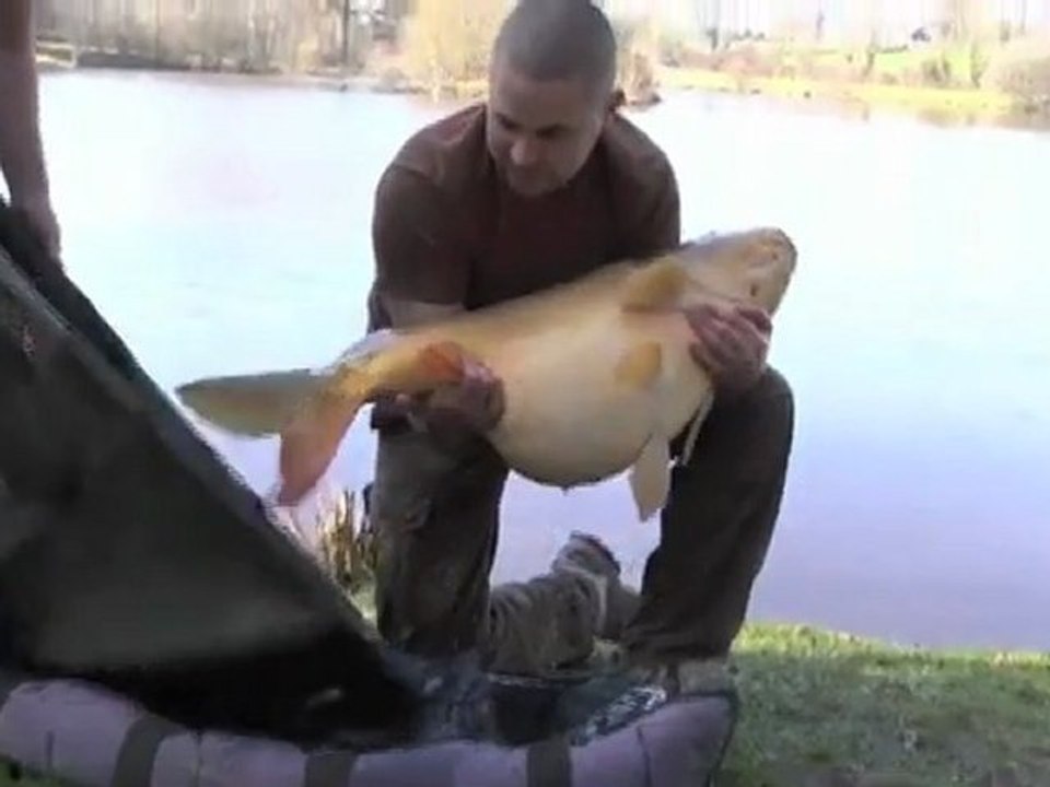 Carp Fishing - Landing a 50lb Carp At Villefond