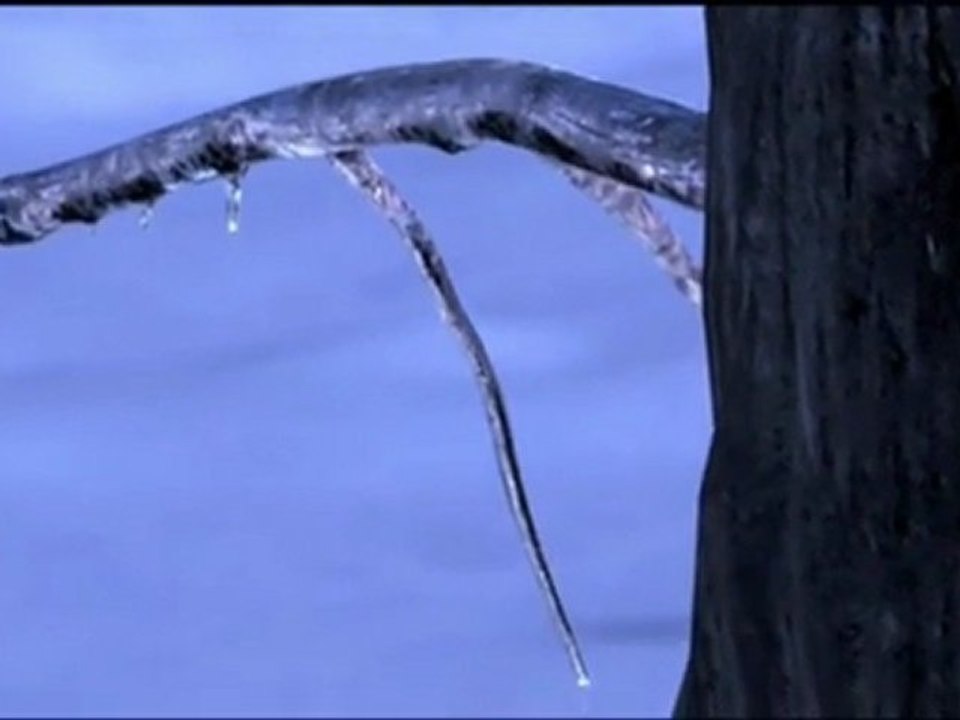 Vor 70 Millionen Jahren - March of the Dinosaurs_ Part 5