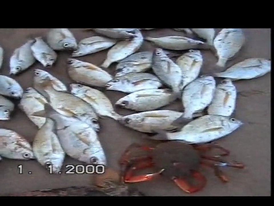 MAROC EL OUATIA lagune de KNIFISS