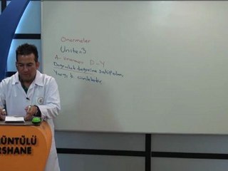 goruntulu-lys-mantik