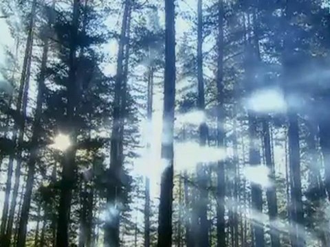 Part 04 of 06 - Julius Caesar - Critical moment 16 Ancient Rome The Rise and Fall of an Empire