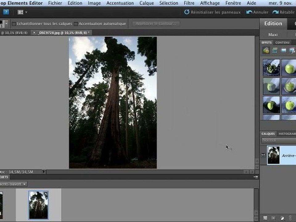 Adobe Photoshop Elements 10 : Corriger une photo prise en contre-jour