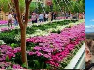 Real Estate Investment Winchester Nevada