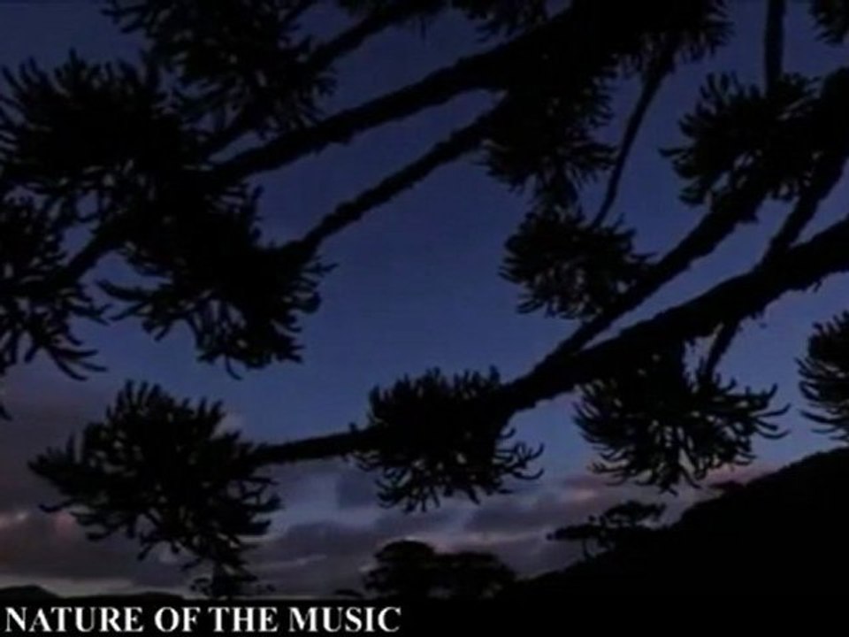 THE NATURE OF THE MUSIC - LA LUNA