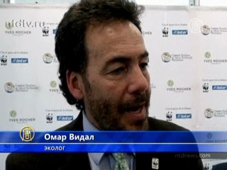 Знаменитые бабочки-монархи гибнут из-за засухи