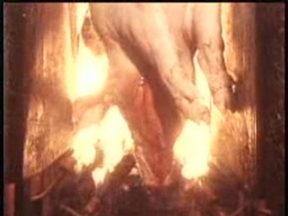 Les Garçons Bouchers - Carnivore