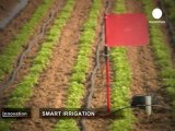 Economiser l'eau avec une irrigation intelligente