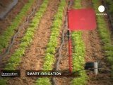 Smart Irrigation bears fruit