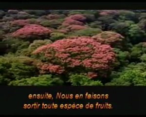 Les signes de la fin du Monde.