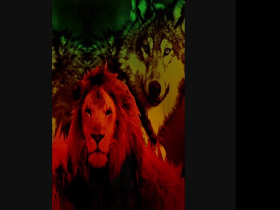 This is for My Dawgs!