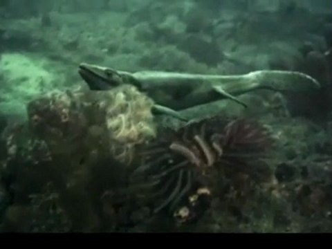 Vor 75 Millionen Jahren - _ Mosasaur Rampage