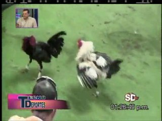 2DA PARTE PROGRAMA TECNODEPORTES -2-MARZO.2012 - CLUB RAMON SANTANA Y CLUB LA PUERTA DEL SUR