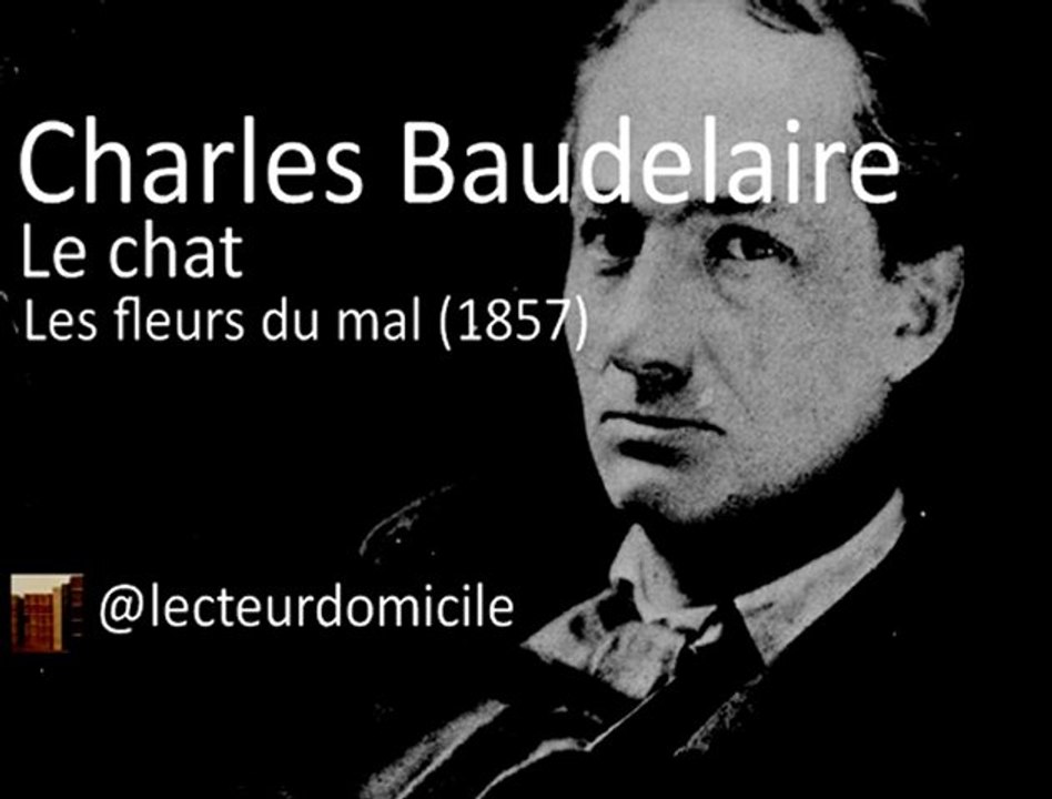 Charles Baudelaire - Le chat - Les fleurs du mal