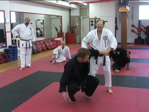 Troy J. Price Fist & Chin-Na Techniques Martial Arts Action Clips Shurite Workshop March-2011